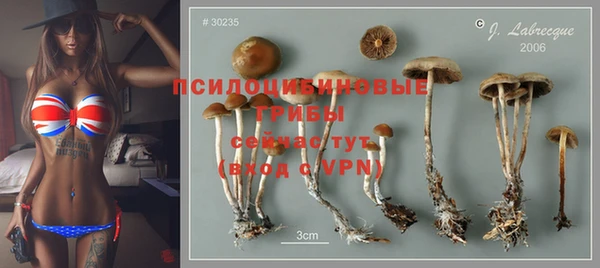 кристаллы Осинники