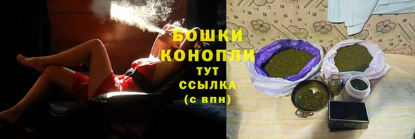 первитин Няндома