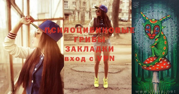 прущие крисы Осташков