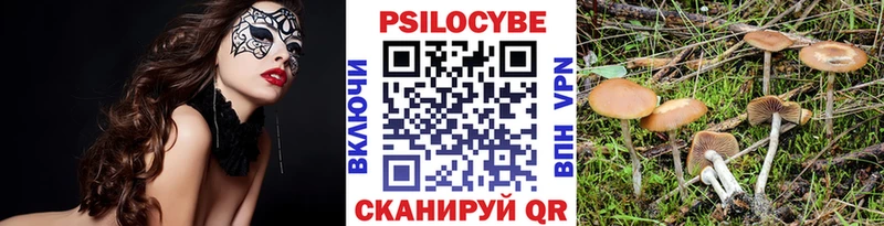 Галлюциногенные грибы MAGIC MUSHROOMS  Советская Гавань 