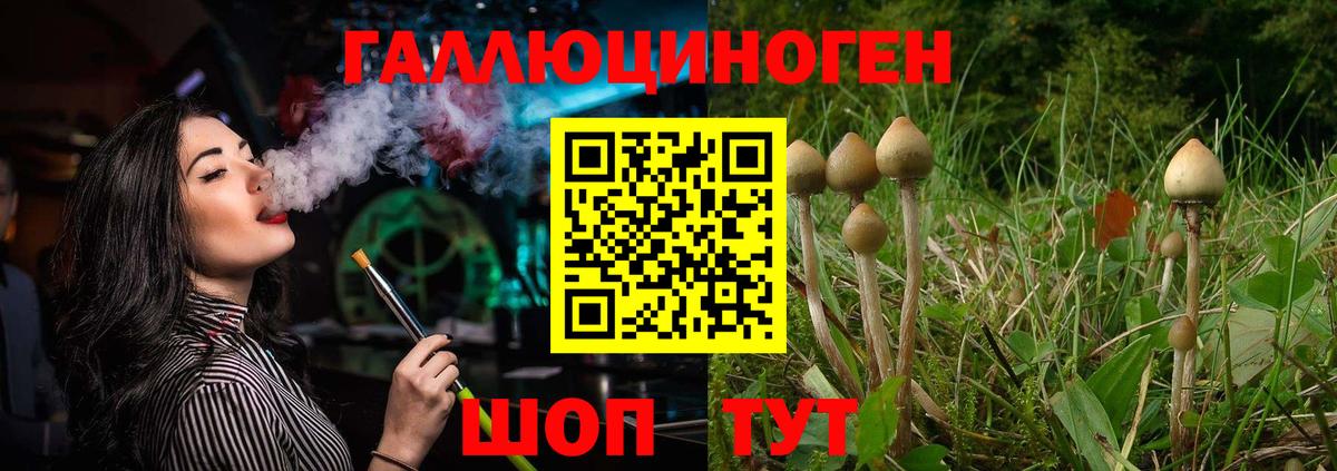 Советская Гавань  дарнет шоп  Вход с VPN  Псилоцибиновые грибы Psilocybine cubensis 